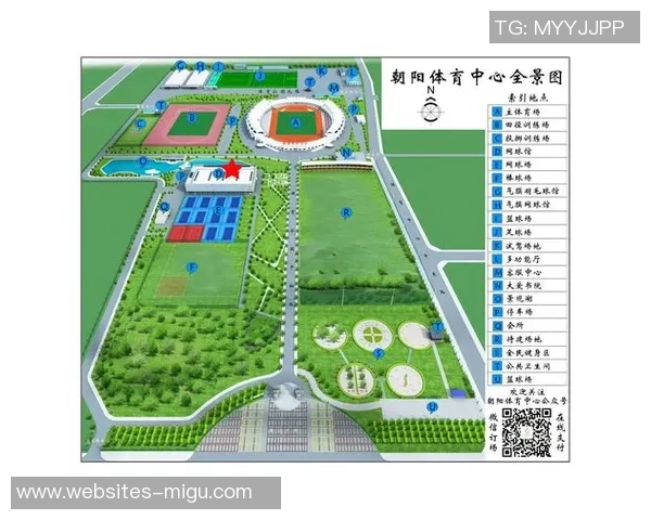 南京网球队的拼搏历程与荣耀时刻全景回顾