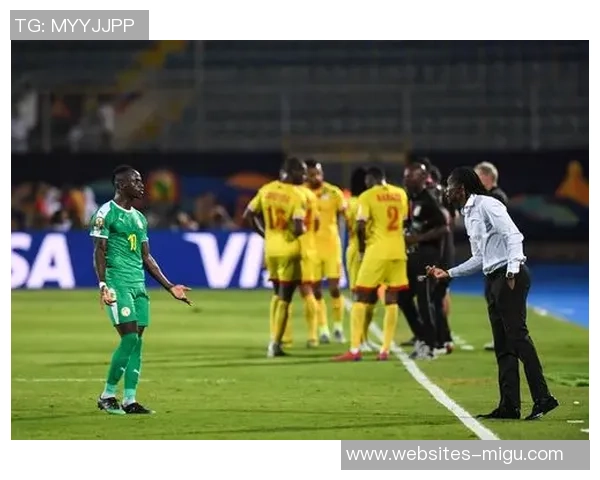 塞内加尔与尼日利亚激战在即谁将赢得非洲足球的荣耀之战